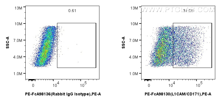 FC experiment of SK-N-SH using PE-FcA98130 Flow cytometry (FC) experiment of SK-N-SH cells using FcZero-rAb® PE Anti-Human L1CAM/CD171 Rabbit Recom (PE-FcA98130)