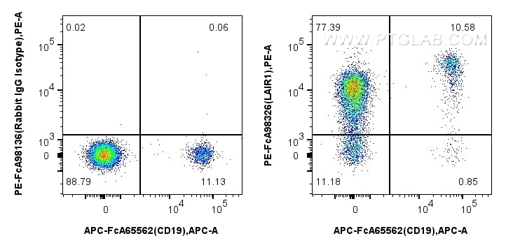 Flow cytometry (FC) experiment of human PBMCs using FcZero-rAb™ PE Anti-Human LAIR1 Rabbit Recombinant (PE-FcA98326)
