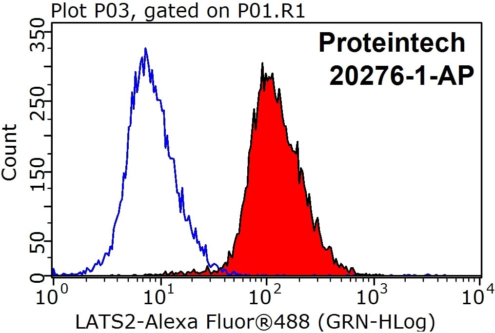 Flow cytometry (FC) experiment of HeLa cells using LATS2-Specific Polyclonal antibody (20276-1-AP)