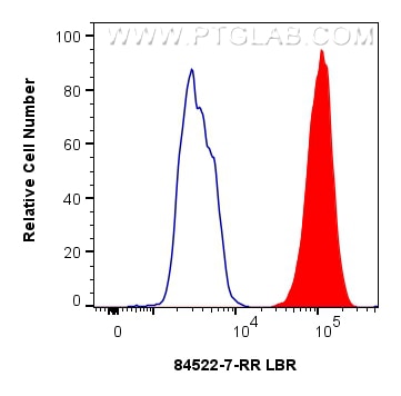1x10^6 HeLa cells were intracellularly stained with 0.25 ug LBR Recombinant antibody (84522-7-RR, Clone:241864G10) and CoraLite®488-Conjugated Goat Anti-Rabbit IgG(H+L) (SA00013-2)(red), or 0.25 ug Rabbit IgG Isotype Control RecAb (98136-1-RR, Clone: 240953C9) (blue). Cells were fixed and permeabilized with Transcription Factor Staining Buffer Kit (PF00011). This data was developed using the same antibody clone with 84522-7-PBS in a different storage buffer formulation. Flow cytometry (FC) experiment of HeLa cells using LBR Recombinant monoclonal antibody (84522-7-RR)