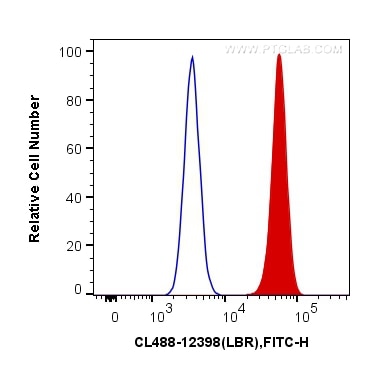 Flow cytometry (FC) experiment of HeLa cells using CoraLite® Plus 488-conjugated LBR Polyclonal antib (CL488-12398)