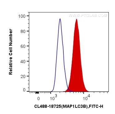 Flow cytometry (FC) experiment of HeLa cells using CoraLite® Plus 488-conjugated LC3B-Specific Polycl (CL488-18725)
