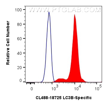 FC experiment of NIH/3T3 using CL488-18725 Flow cytometry (FC) experiment of NIH/3T3 cells using CoraLite® Plus 488-conjugated LC3B-Specific Polycl (CL488-18725)