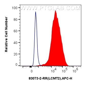 Flow cytometry (FC) experiment of HeLa cells using LCMT2 Recombinant antibody (83073-2-RR)