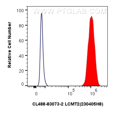 Flow cytometry (FC) experiment of HeLa cells using CoraLite® Plus 488-conjugated LCMT2 Recombinant an (CL488-83073-2)