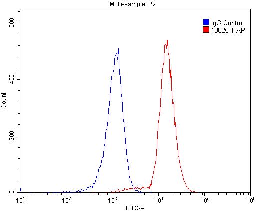 Flow cytometry (FC) experiment of Raji cells using L-Plastin Polyclonal antibody (13025-1-AP)