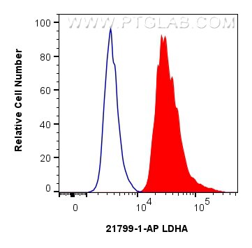 Flow cytometry (FC) experiment of HepG2 cells using LDHA Polyclonal antibody (21799-1-AP)
