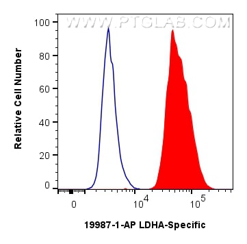 FC experiment of HepG2 using 19987-1-AP Flow cytometry (FC) experiment of HepG2 cells using LDHA-Specific Polyclonal antibody (19987-1-AP)