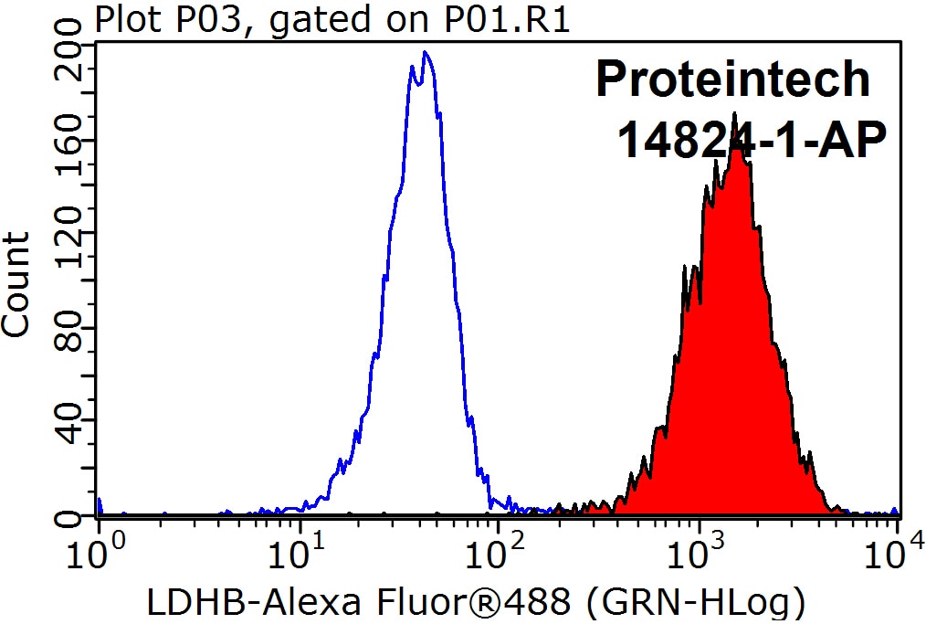 FC experiment of HeLa using 14824-1-AP