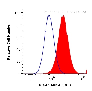 Flow cytometry (FC) experiment of HeLa cells using CoraLite® Plus 647-conjugated LDHB Polyclonal anti (CL647-14824)