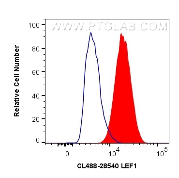 Flow cytometry (FC) experiment of HepG2 cells using CoraLite® Plus 488-conjugated LEF1 Polyclonal anti (CL488-28540)