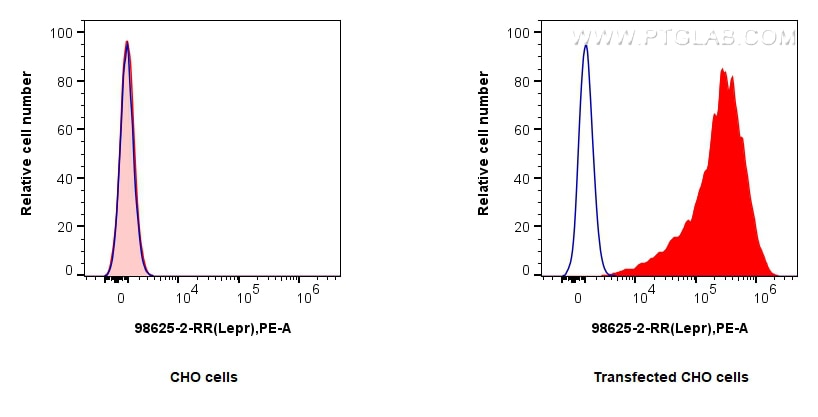 FC experiment of Transfected CHO cells using 98625-2-RR Flow cytometry (FC) experiment of Transfected CHO cells using Anti-Mouse LEPR Rabbit Recombinant Antibody (98625-2-RR)