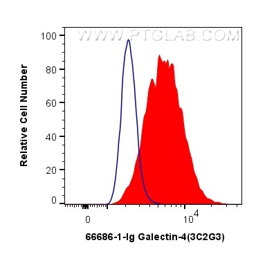 Flow cytometry (FC) experiment of HT-29 cells using Galectin-4 Monoclonal antibody (66686-1-Ig)