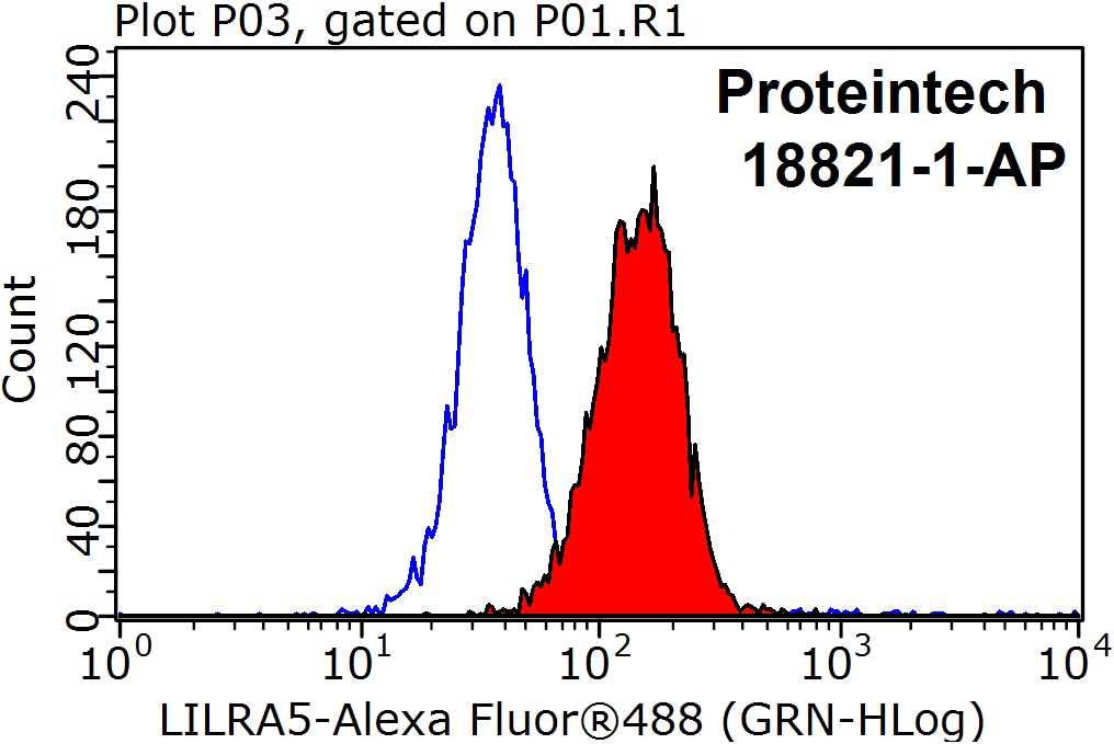Flow cytometry (FC) experiment of K-562 cells using LILRA5 Polyclonal antibody (18821-1-AP)