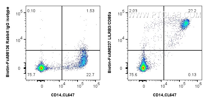 FC experiment of human PBMCs using Biotin-FcA98237 Flow cytometry (FC) experiment of human PBMCs using FcZero-rAb® Biotin Anti-Human LILRB3/CD85a Rabbit (Biotin-FcA98237)