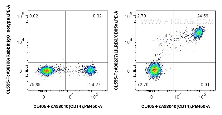 FC experiment of human PBMCs using CL555-FcA98237 Flow cytometry (FC) experiment of human PBMCs using FcZero-rAb® CoraLite® Plus 555 Anti-Human LILRB3/C (CL555-FcA98237)