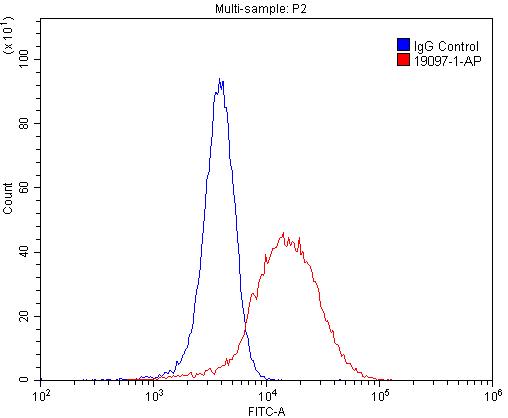 FC experiment of SH-SY5Y using 19097-1-AP