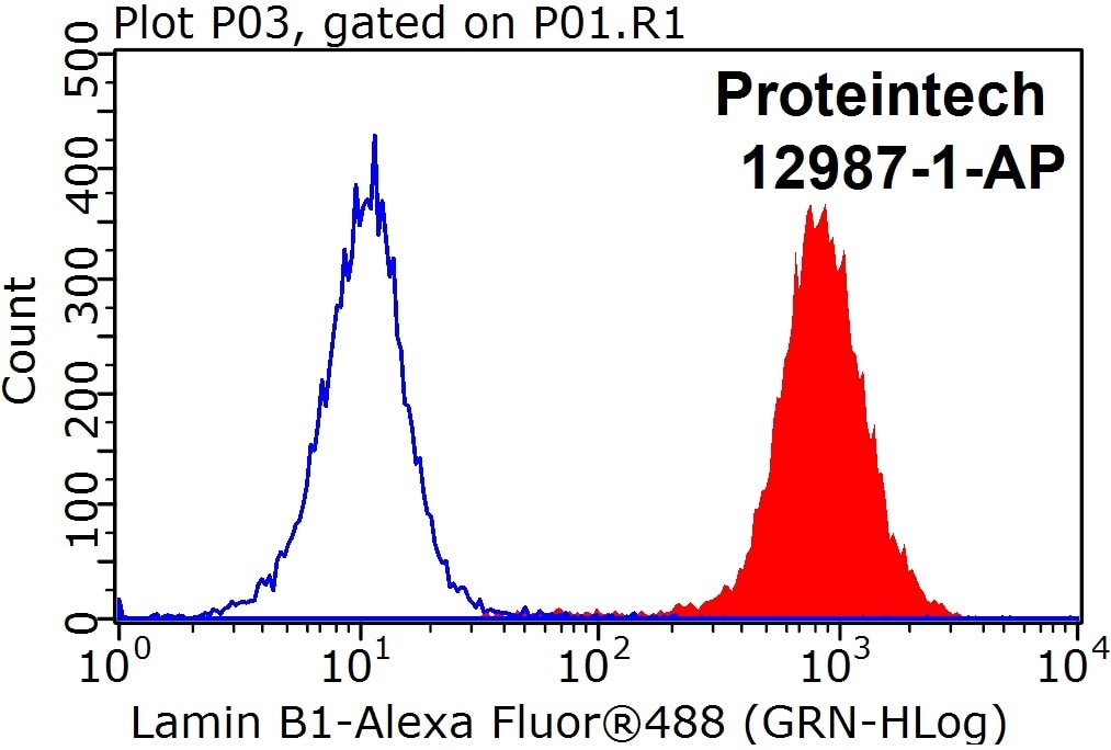 Flow cytometry (FC) experiment of HEK-293 cells using Lamin B1 Polyclonal antibody (12987-1-AP)