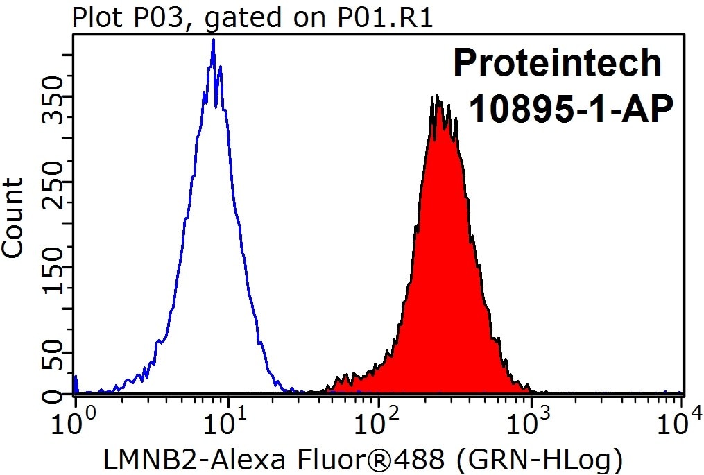 Flow cytometry (FC) experiment of HEK-293T cells using Lamin B2 Polyclonal antibody (10895-1-AP)