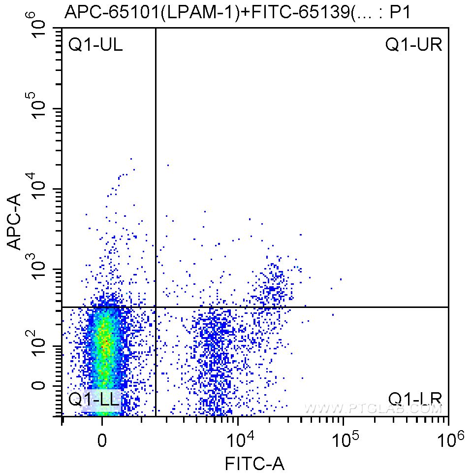 FC experiment of mouse bone marrow cells using APC-65101