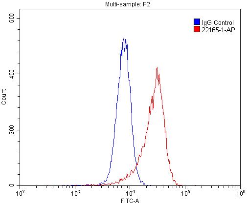 FC experiment of HL-60 using 22165-1-AP