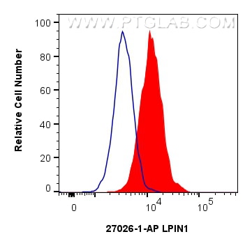 1x10^6 LNCaP cells were intracellularly stained with 0.13 ug LPIN1 Polyclonal antibody (27026-1-AP) and CoraLite®488-Conjugated Goat Anti-Rabbit IgG(H+L) (SA00013-2)(red), or 0.13 ug Isotype Control (blue). Cells were fixed and permeabilized with Intracellular Flow Cytometry Fixation & Permeabilization Buffer Kit (PF00019). Flow cytometry (FC) experiment of LNCaP cells using LPIN1 Polyclonal antibody (27026-1-AP)