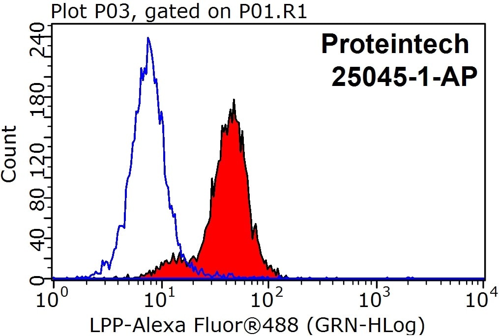 Flow cytometry (FC) experiment of HeLa cells using LPP Polyclonal antibody (25045-1-AP)