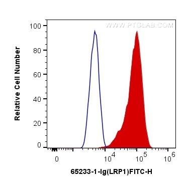 Flow cytometry (FC) experiment of U-87 MG cells using Anti-Human LRP1 (5A6) (65233-1-Ig)