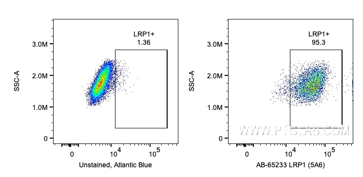Flow cytometry (FC) experiment of U-87 MG cells using Atlantic Blue™ Anti-Human LRP1 (5A6) (AB-65233)