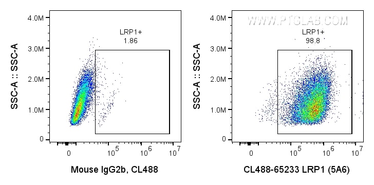 Flow cytometry (FC) experiment of U-87 MG cells using CoraLite® Plus 488 Anti-Human LRP1 (5A6) (CL488-65233)