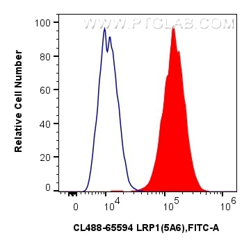 1x10^6 U-87 MG cells were surface stained with 5 ul CoraLite® Plus 488 Anti-Human LRP1 (5A6) Mouse IgG2a RecAb (CL488-65594, Clone: 5A6) (red) or CoraLite® Plus 488 Mouse IgG2a Isotype Control (C1.18.4) (CL488-65208, Clone: C1.18.4) (blue). Cells were not fixed. Flow cytometry (FC) experiment of U-87 MG cells using CoraLite® Plus 488 Anti-Human LRP1 (5A6) Mouse IgG (CL488-65594)