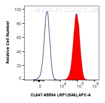 1x10^6 U-87 MG cells were surface stained with 5 ul CoraLite® Plus 647 Anti-Human LRP1 (5A6) Mouse IgG2a RecAb (CL647-65594, Clone: 5A6) (red) or CoraLite® Plus 647 Mouse IgG2a Isotype Control (C1.18.4) (CL647-65208, Clone: C1.18.4) (blue). Cells were not fixed. Flow cytometry (FC) experiment of U-87 MG cells using CoraLite® Plus 647 Anti-Human LRP1 (5A6) Mouse IgG (CL647-65594)
