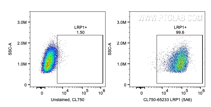 Flow cytometry (FC) experiment of U-87 MG cells using CoraLite® Plus 750 Anti-Human LRP1 (5A6) (CL750-65233)