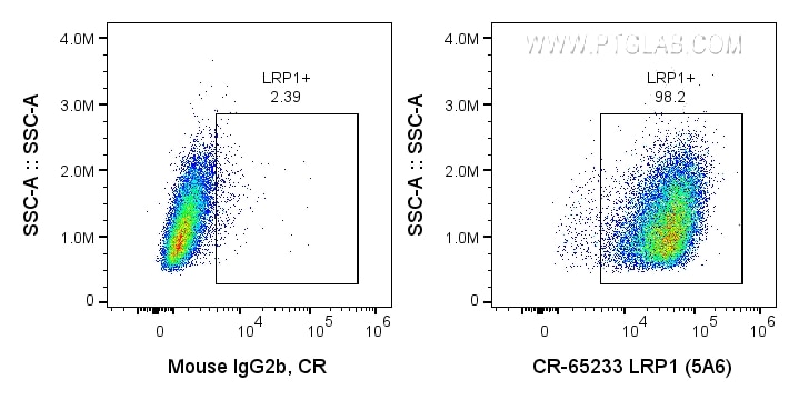 Flow cytometry (FC) experiment of U-87 MG cells using Cardinal Red™ Anti-Human LRP1 (5A6) (CR-65233)