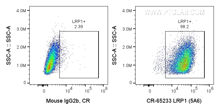 FC experiment of U-87 MG using CR-65233