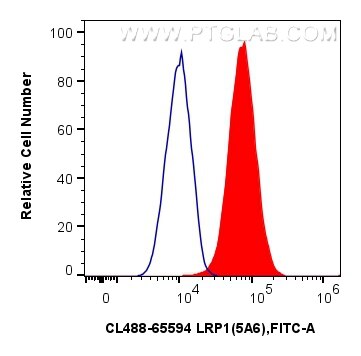 1x10^6 U-87 MG cells were surface stained with 5 ul FITC Plus Anti-Human LRP1 (5A6) Mouse IgG2a RecAb (FITC-65594, Clone: 5A6) (red) or 5 ul FITC Plus Mouse IgG2a Isotype Control (C1.18.4) (FITC-65208, Clone: C1.18.4) (blue). Cells were not fixed. Flow cytometry (FC) experiment of U-87 MG cells using FITC Plus Anti-Human LRP1 (5A6) Mouse IgG2a Recomb (FITC-65594)
