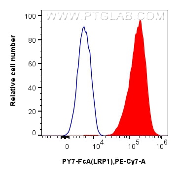 FC experiment of U-87 MG using PY7-FcA65594 Flow cytometry (FC) experiment of U-87 MG cells using FcZero-rAb® PE-Cyanine7 Anti-Human LRP1 (5A6) Rabb (PY7-FcA65594)