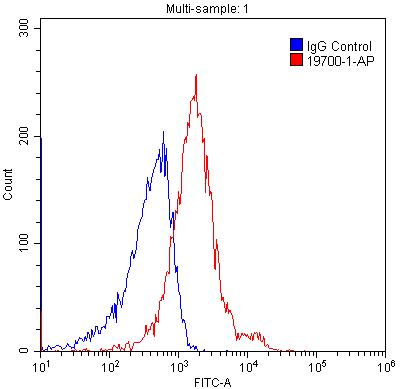 Flow cytometry (FC) experiment of HEK-293 cells using LRP2-Specific Polyclonal antibody (19700-1-AP)