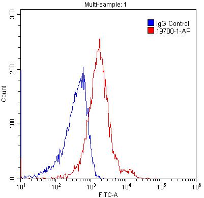 FC experiment of HEK-293 using 19700-1-AP