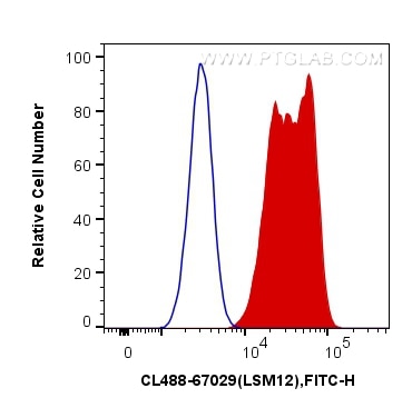 Flow cytometry (FC) experiment of HeLa cells using CoraLite® Plus 488-conjugated LSM12 Monoclonal ant (CL488-67029)