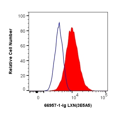 Flow cytometry (FC) experiment of HeLa cells using LXN Monoclonal antibody (66957-1-Ig)