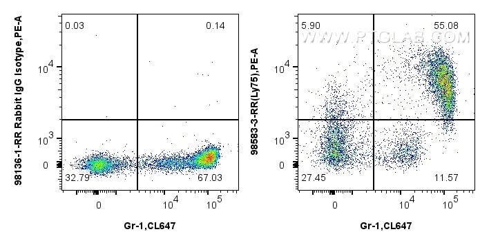 1x10^6 mouse bone marrow cells were surface stained with 0.25 ug Anti-Mouse LY75/DEC-205 Rabbit RecAb (98583-3-RR, Clone: 251337B3) or 0.25 ug Rabbit IgG Isotype Control RecAb (98136-1-RR, Clone: 240953C9), and PE-Conjugated Goat Anti-Rabbit IgG(H+L). Cells were then stained with CoraLite® Plus 647 Anti-Mouse Ly-6G/Ly-6C (Gr-1). Cells were incubated with FC Receptor Block prior to staining. Cells were not fixed. Flow cytometry (FC) experiment of mouse bone marrow cells using Anti-Mouse LY75/DEC-205 Rabbit Recombinant Antibod (98583-3-RR)