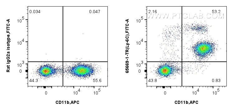 1x10^6 mouse bone marrow cells were surface stained with 0.5 ug Anti-Mouse Ly-6C (HK1.4) Rat IgG2a RecAb (65669-1-TR, Clone: HK1.4) or 0.5 ug Rat IgG2a Isotype Control Recombinant Antibody (98427-1-TR, Clone: 250862A1), and FITC anti-Rat IgG2a antibody. Cells were then stained with APC Anti-Mouse CD11b (M1/70) (APC-65055, Clone: M1/70). Cells were not fixed. This data was developed using the same antibody clone with 65669-1-PBS in a different storage buffer formulation. Flow cytometry (FC) experiment of mouse bone marrow cells using Anti-Mouse Ly-6C (HK1.4) Rat IgG2a Recombinant Ant (65669-1-TR)
