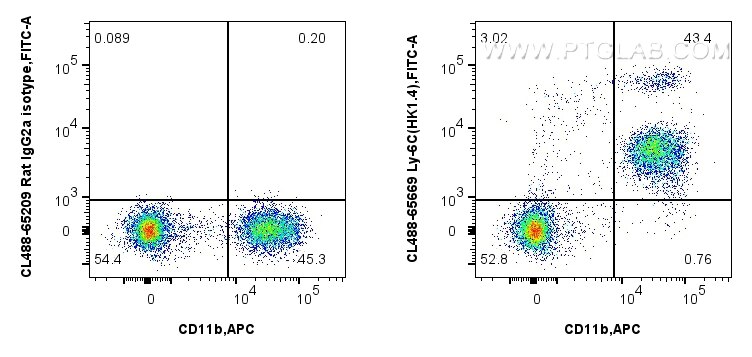 Flow cytometry (FC) experiment of mouse bone marrow cells using CoraLite® Plus 488 Anti-Mouse Ly-6C (HK1.4) Rat Ig (CL488-65669)