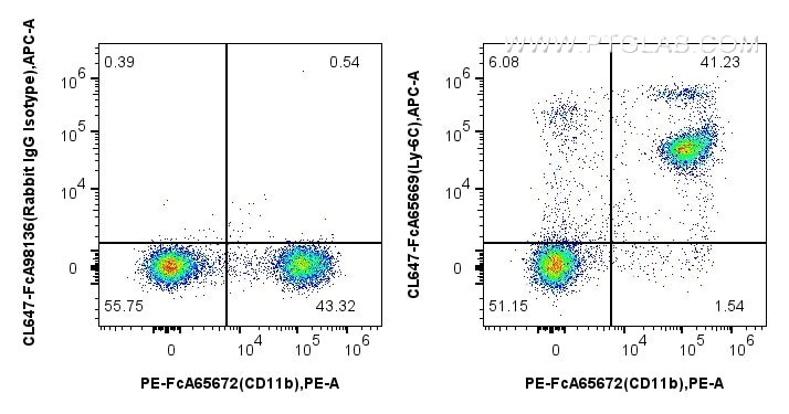 CL647-FCA65669