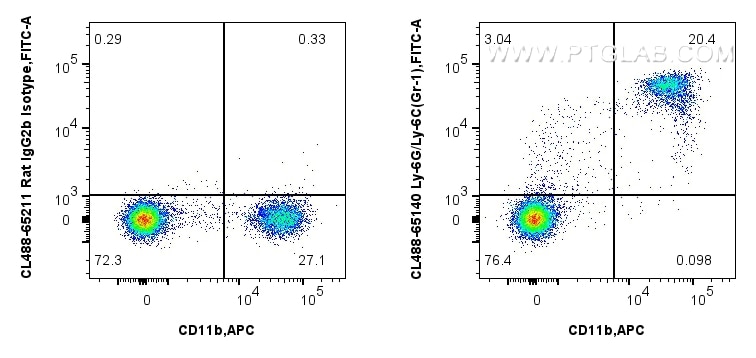 1x10^6 mouse bone marrow cells were surface stained with APC Anti-Mouse CD11b, and 0.25 ug CoraLite® Plus 488 Anti-Mouse Ly-6G/Ly-6C (Gr-1) (RB6-8C5) (CL488-65140, Clone: RB6-8C5) or CoraLite® Plus 488 Rat IgG2b Isotype Control (LTF-2) (CL488-65211, Clone: LTF-2). Cells were not fixed. Flow cytometry (FC) experiment of mouse bone marrow cells using CoraLite® Plus 488 Anti-Mouse Ly-6G/Ly-6C (Gr-1) ( (CL488-65140)