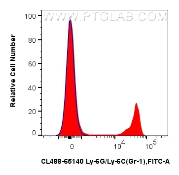 1x10^6 mouse bone marrow cells were surface stained with 0.25 ug CoraLite® Plus 488 Anti-Mouse Ly-6G/Ly-6C (Gr-1) (RB6-8C5) (CL488-65140, Clone: RB6-8C5) (red) or CoraLite® Plus 488 Rat IgG2b Isotype Control (LTF-2) (CL488-65211, Clone: LTF-2) (blue). Cells were not fixed. Flow cytometry (FC) experiment of mouse bone marrow cells using CoraLite® Plus 488 Anti-Mouse Ly-6G/Ly-6C (Gr-1) ( (CL488-65140)