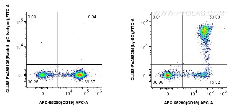 FC experiment of mouse bone marrow cells using CL488-FcA98284 Flow cytometry (FC) experiment of mouse bone marrow cells using FcZero-rAb™ CoraLite® Plus 488 Anti-Mouse Ly-6G Ra (CL488-FcA98284)