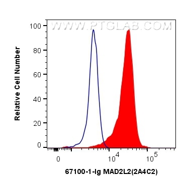 Flow cytometry (FC) experiment of K-562 cells using MAD2L2 Monoclonal antibody (67100-1-Ig)