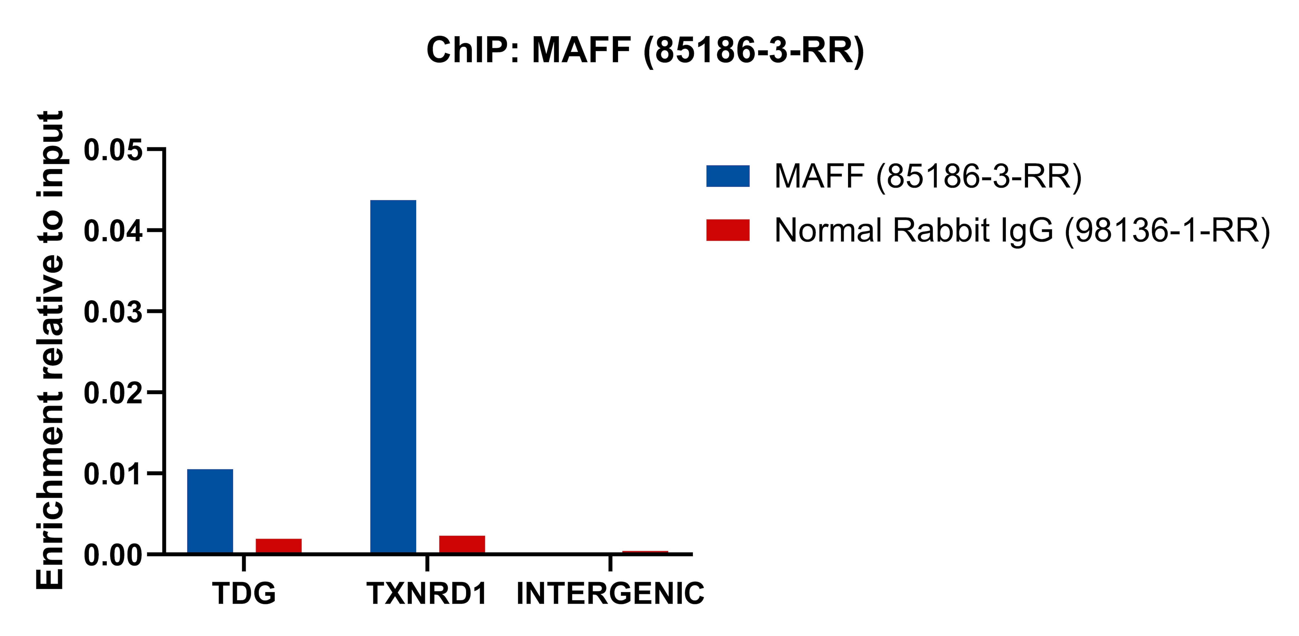 ChIP experiment of HeLa cells using MAFF Recombinant monoclonal antibody (85186-3-RR)